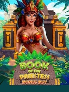 Book Of The Priestess